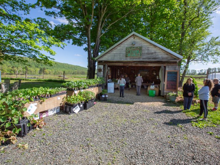 Ethos Farm Days Featuring Joel Fuhrman, MD