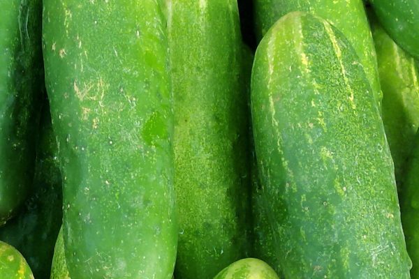 Cucumbers