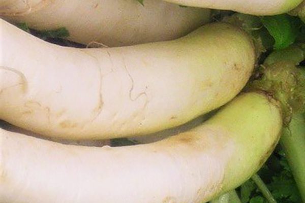 Daikon1