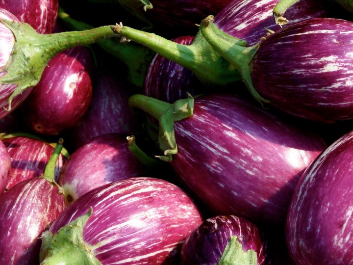 Eggplant