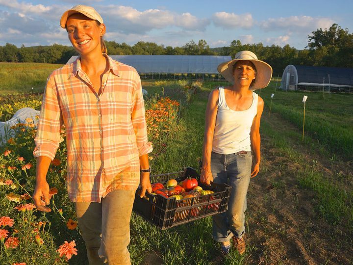 Katie_Nora_carrying_tomatoes_LR